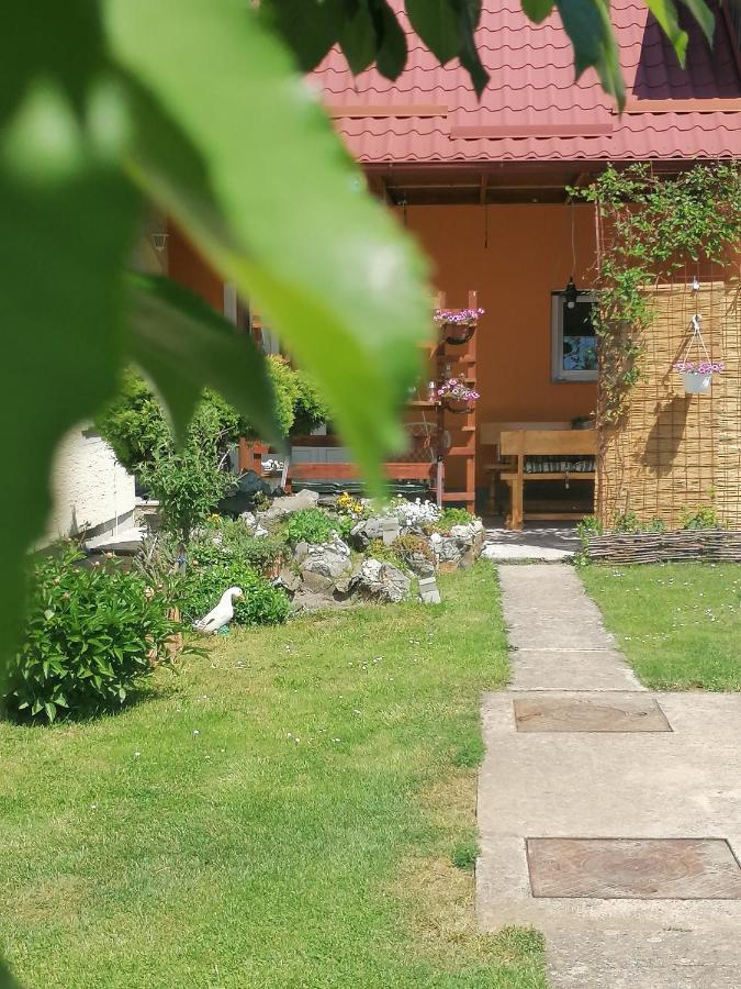 Studio Apartman Krosna Perusic Luaran gambar